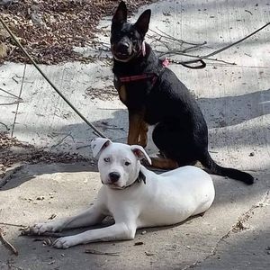 Meet your Posher, Chianne